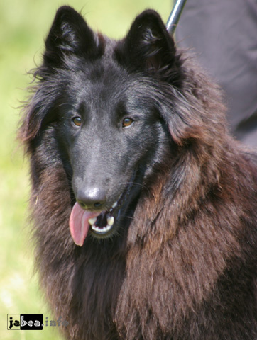 Delois Black Morion