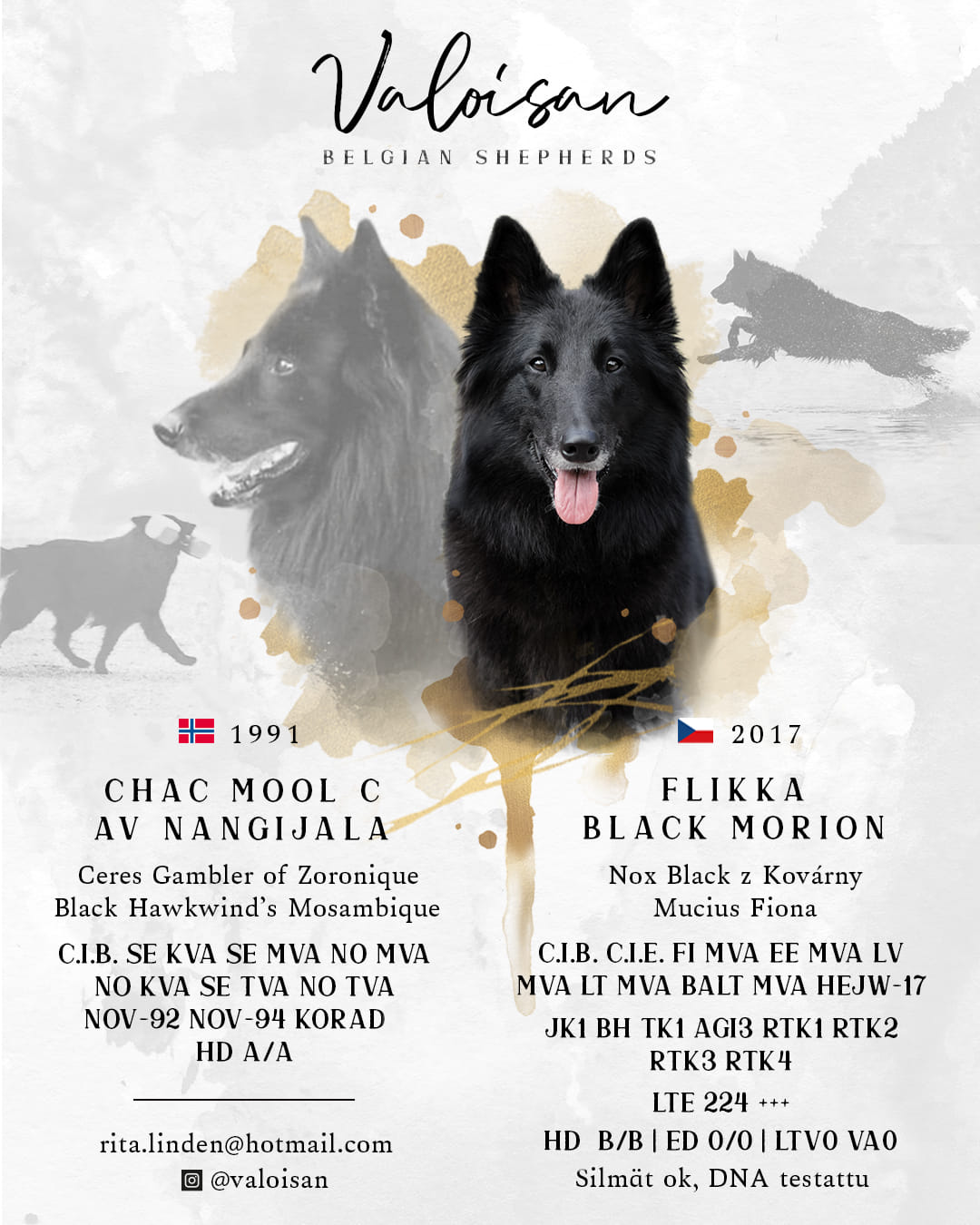 Štěňátka Flikka