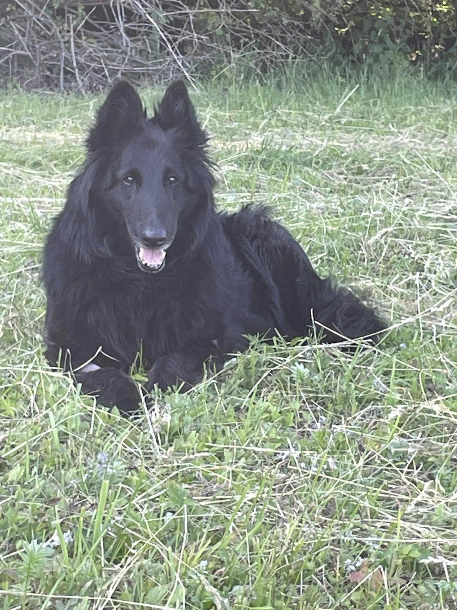 Fifinka