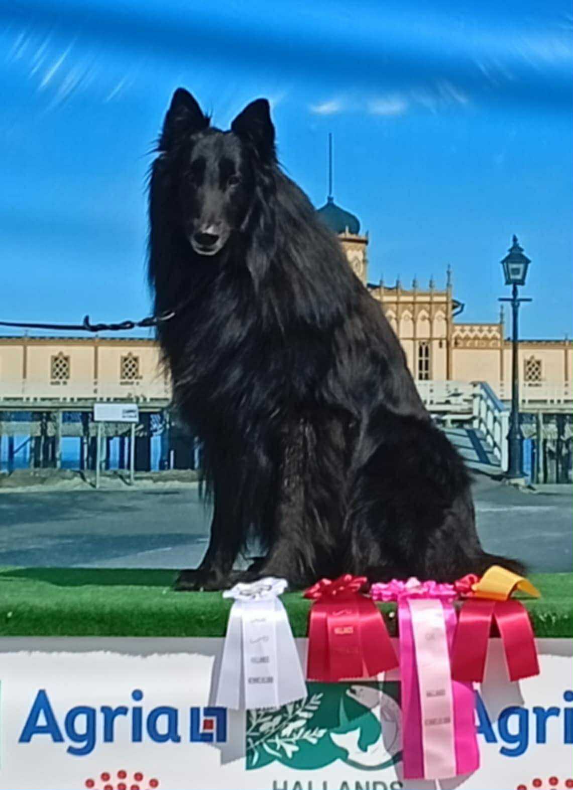 Kaspian
