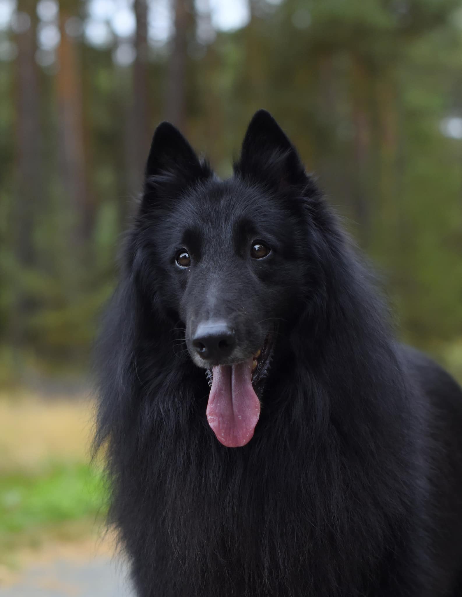 Kaspian