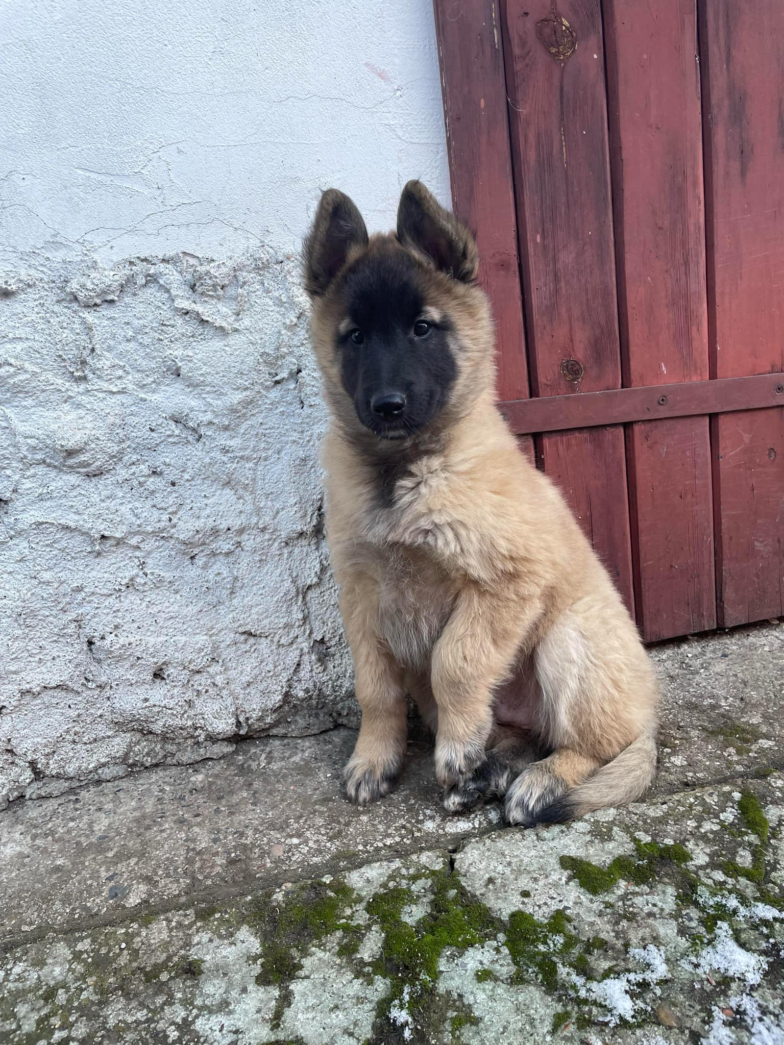 Kaspian
