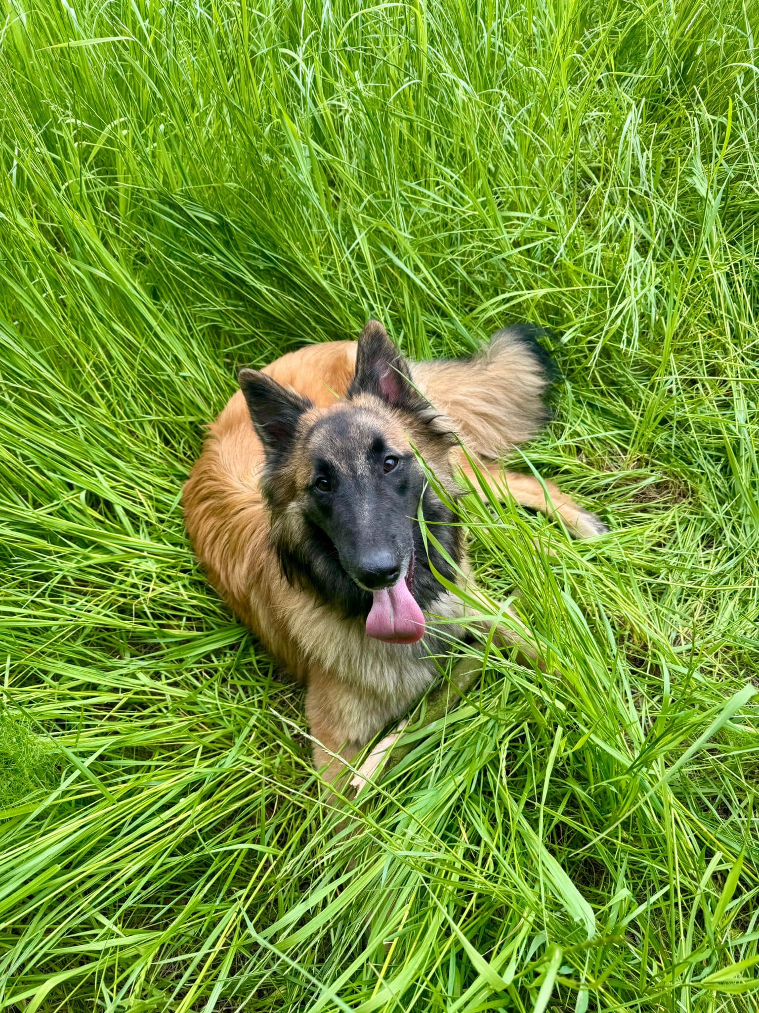 Kaspian