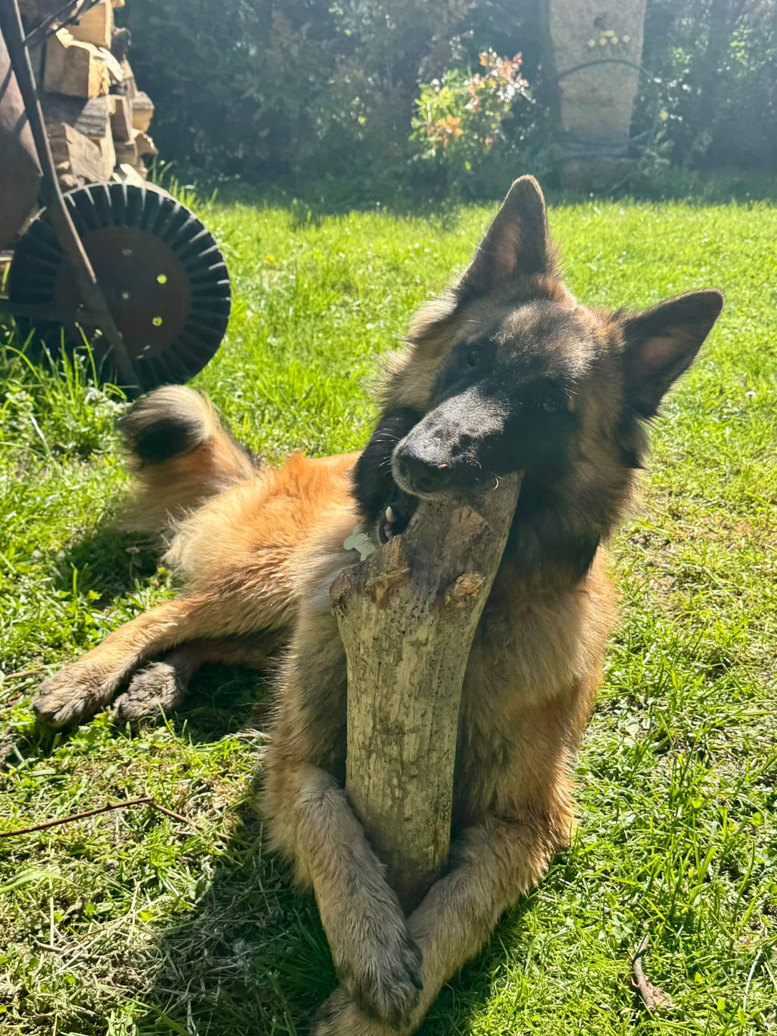 Kaspian