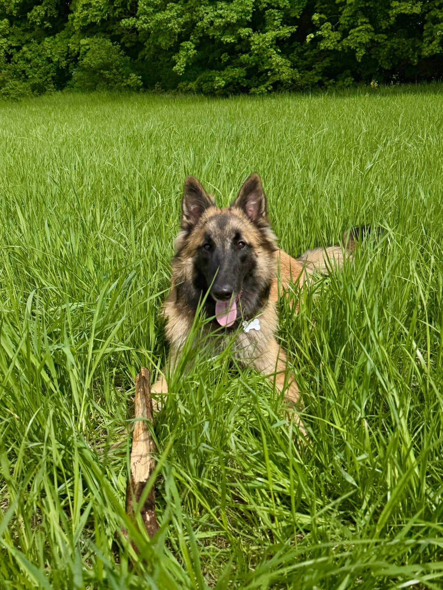 Kaspian