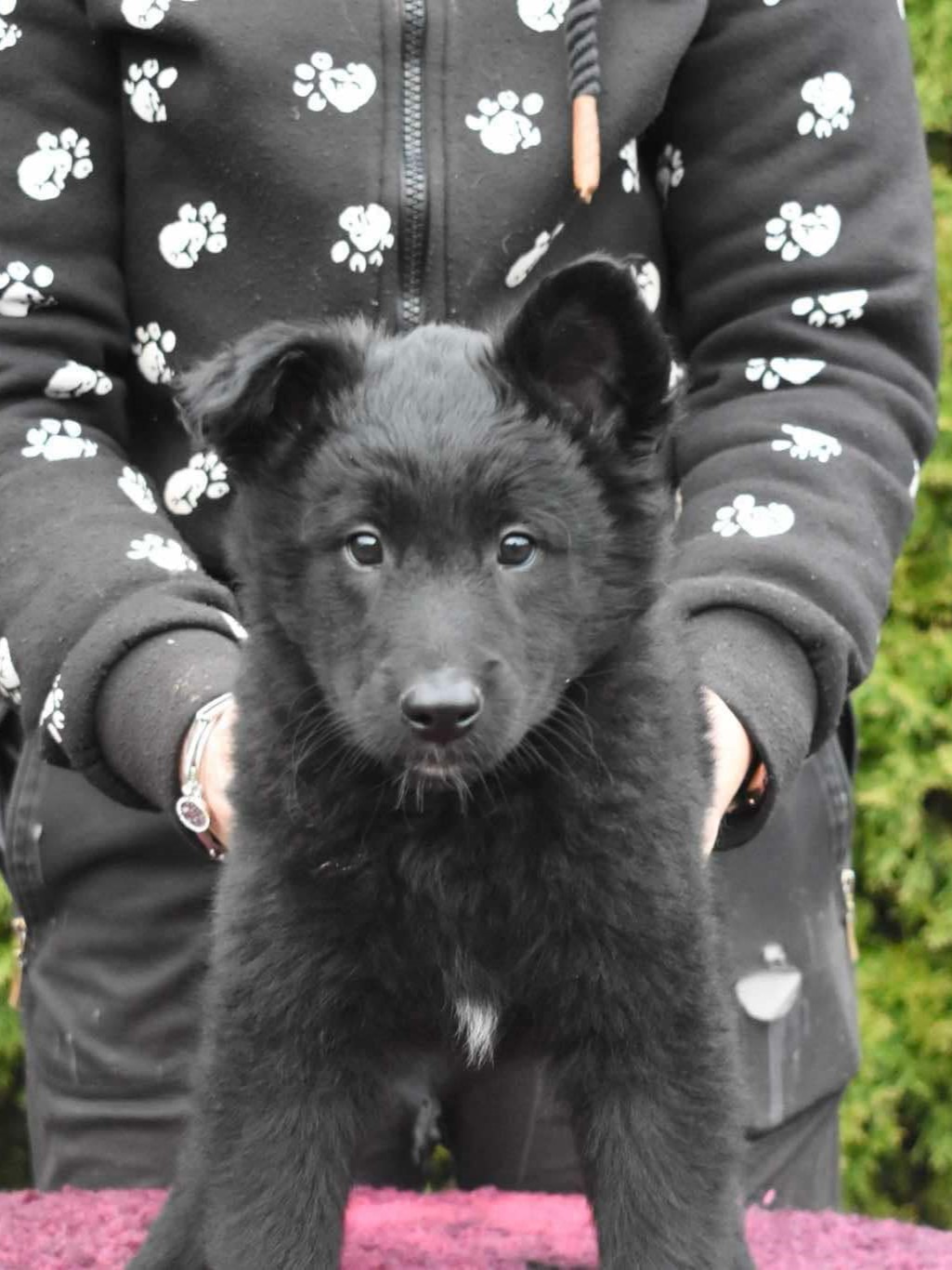 Khalysie Black Morion