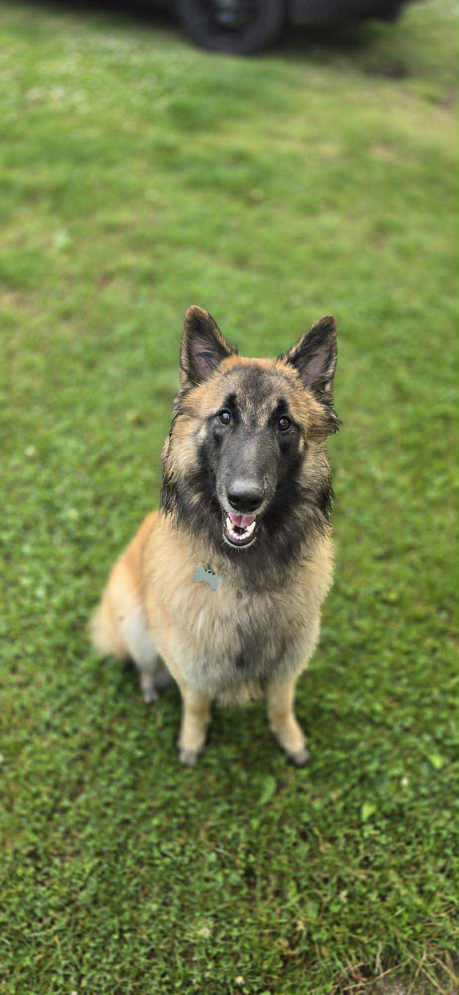 Kaspian