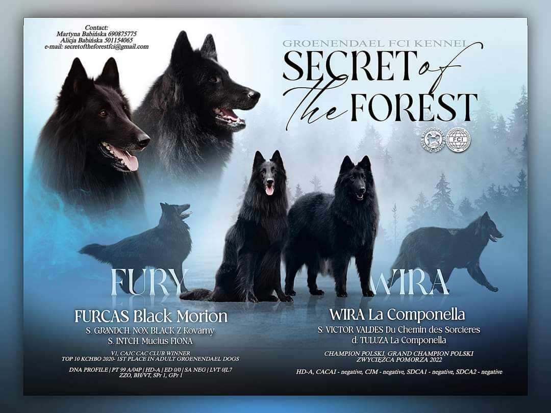 Litter Secret of the Forest photo