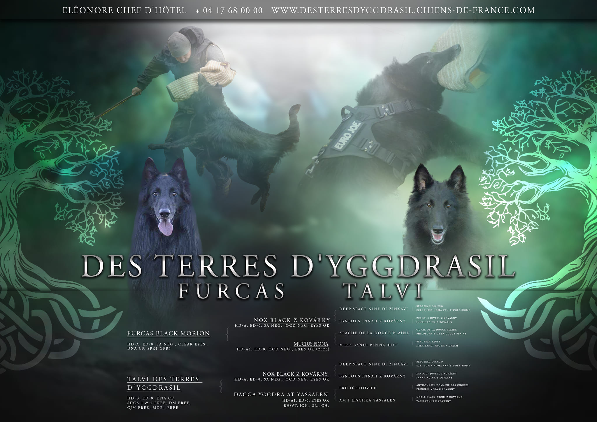 Litter des Terres D'Yggdrasil photo