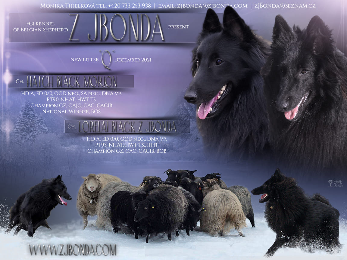 Vrh z JBonda foto