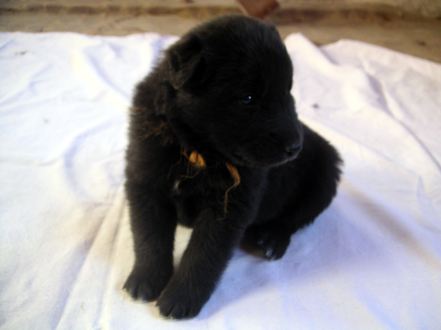 oranzova_PICT0002