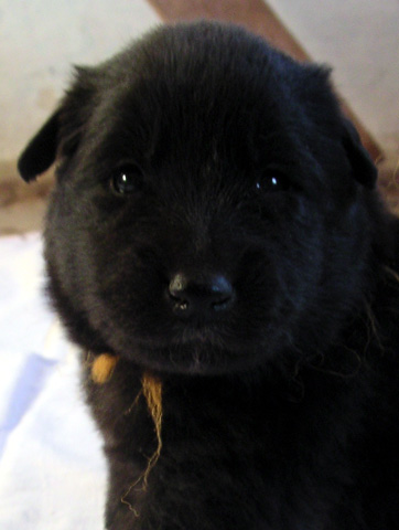 oranzova_PICT0007