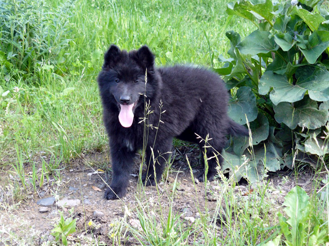 červen 2007