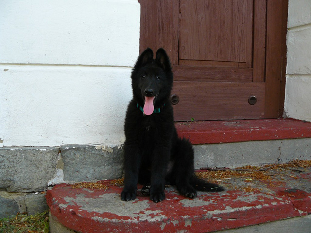 červen 2007