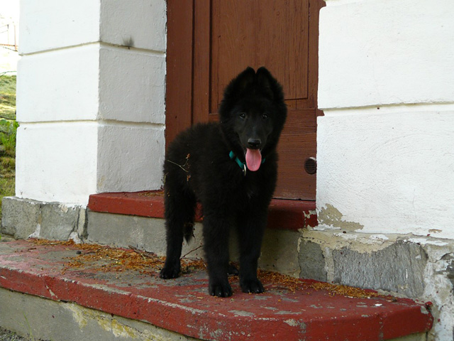 červen 2007