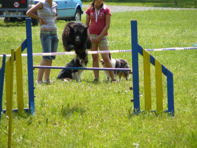 agility 1