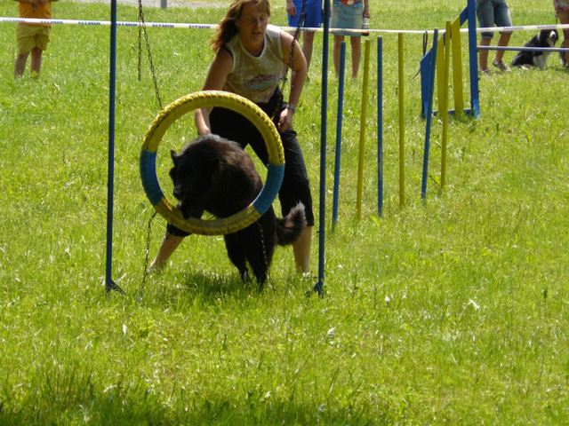 agility 2