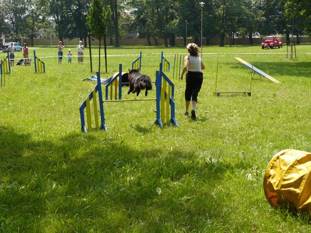 agility 3