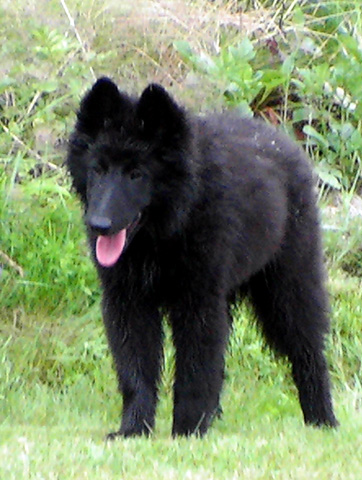 July 2007