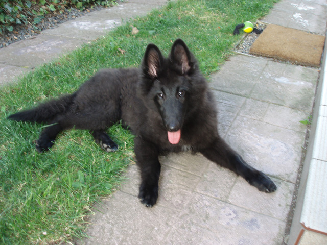 září 2007