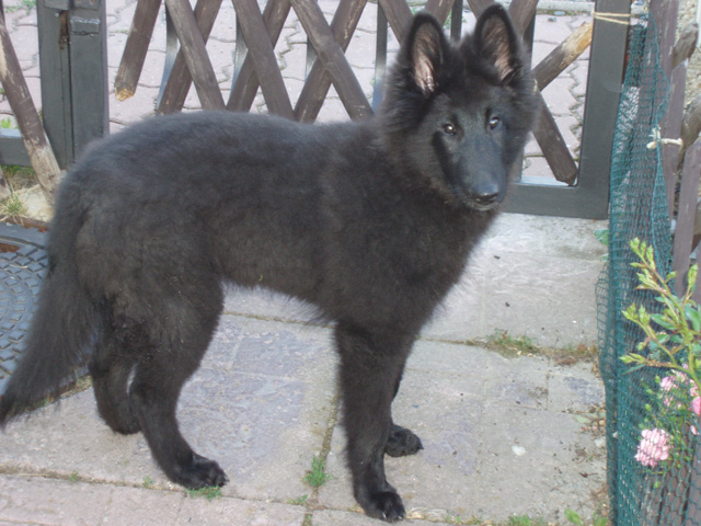 září 2007