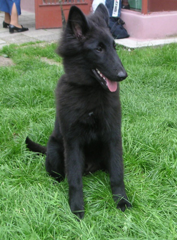 září 2007