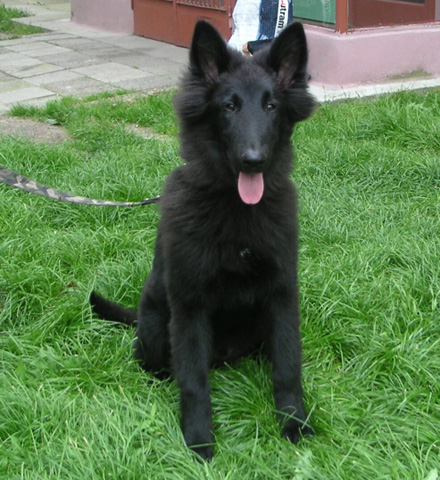 září 2007