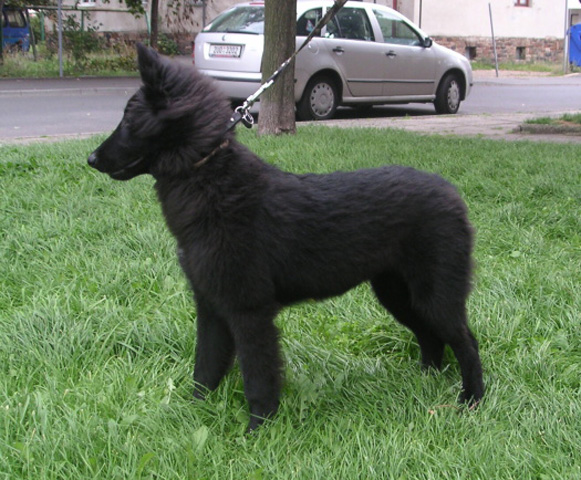 září 2007