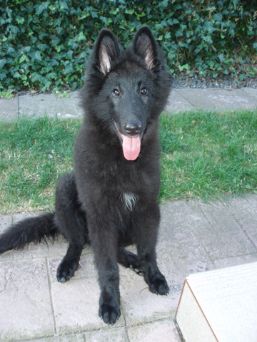 září 2007
