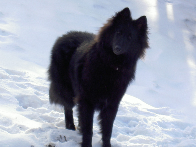 December 2007