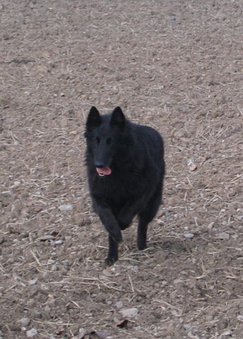 Lia de Bruine Buck prosinec 2007