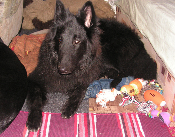 prosinec 2007