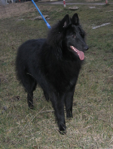 únor 2008