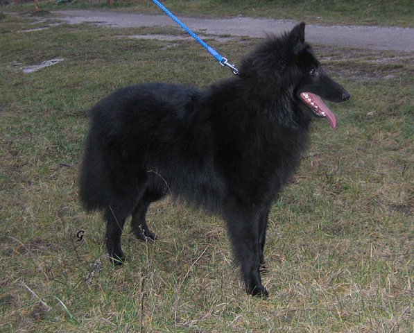 únor 2008