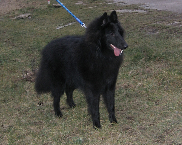 únor 2008