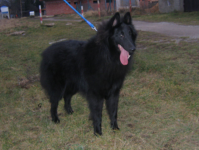 únor 2008