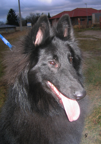 únor 2008