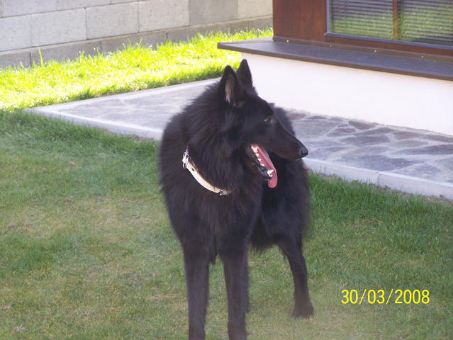 duben 2008