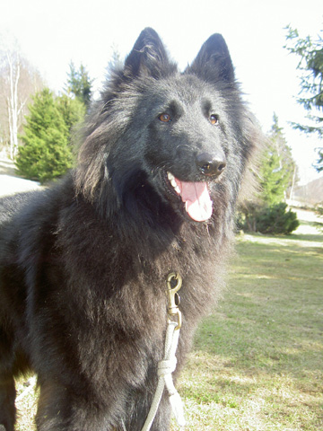 April 2008