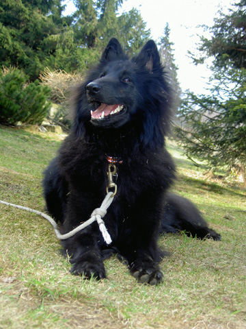 April 2008