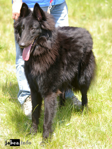 květen 2008