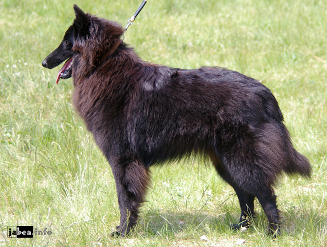 květen 2008