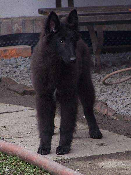 4 months