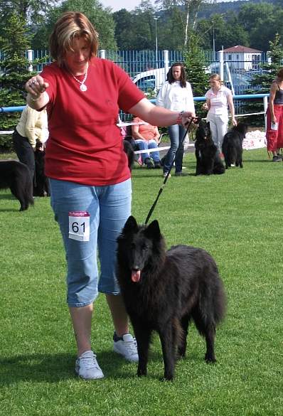 World Show BO