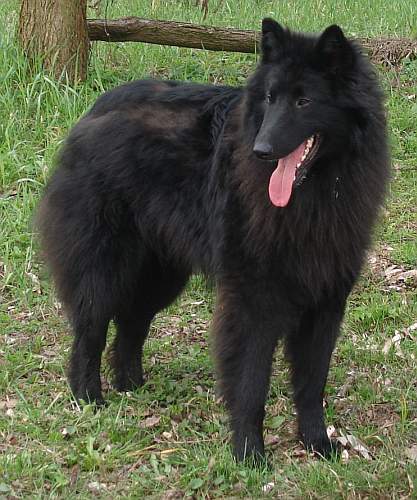 2008