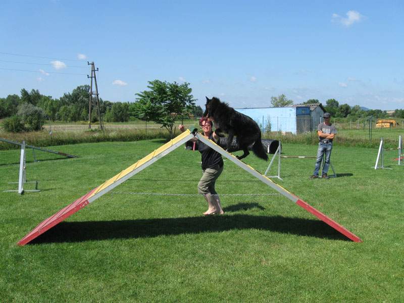 8 měsíců - trénink agility