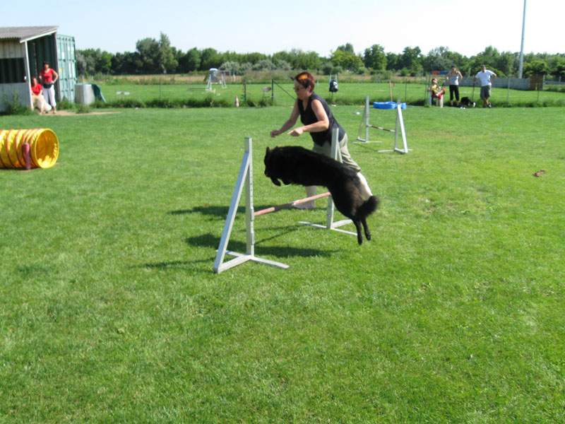 8 měsíců - trénink agility