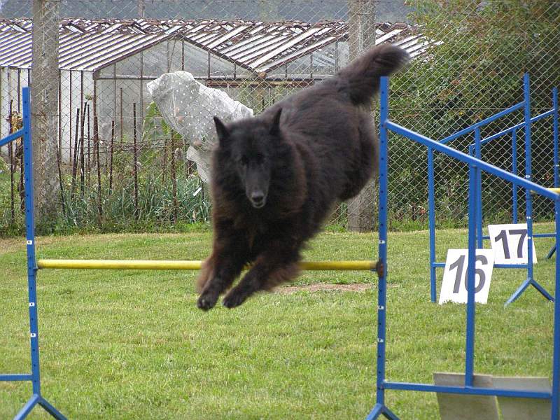 Agility Chlumec 1