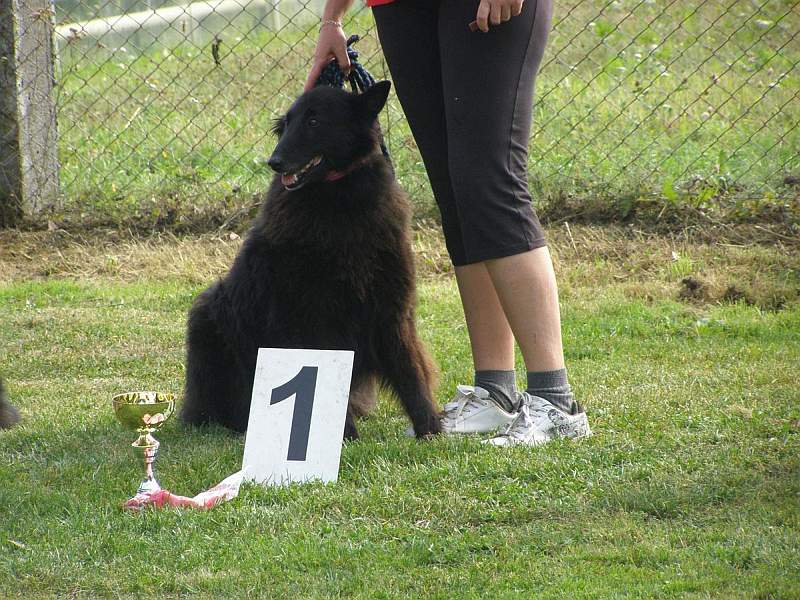 Agility Chlumec 2