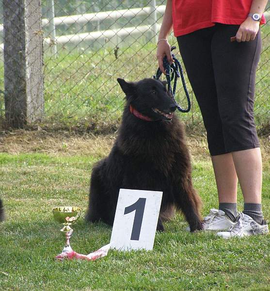 Agility Chlumec 3